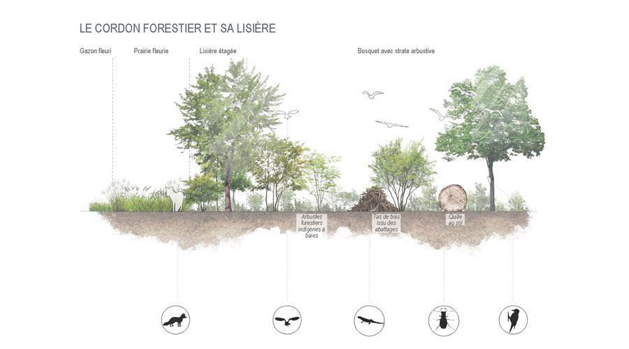 biodiversite-Lausanne-Gland-STEP